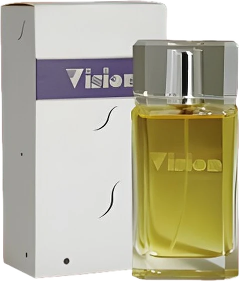 Vision