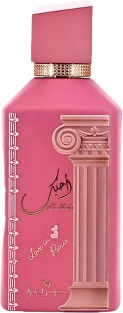 Ahubbak Love In Paris
