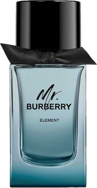 Mr Burberry Element
