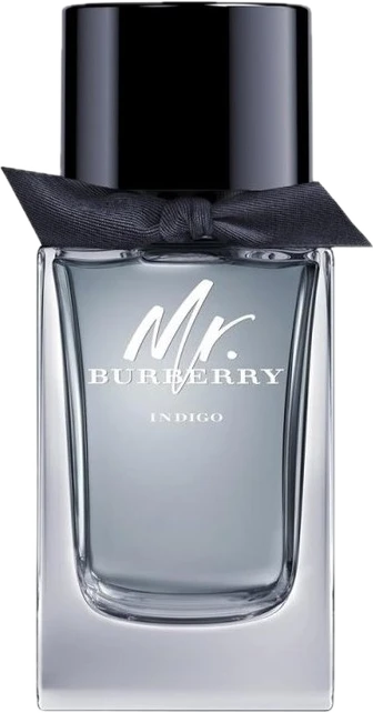 Mr Burberry Indigo