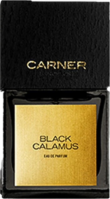 Black Calamus