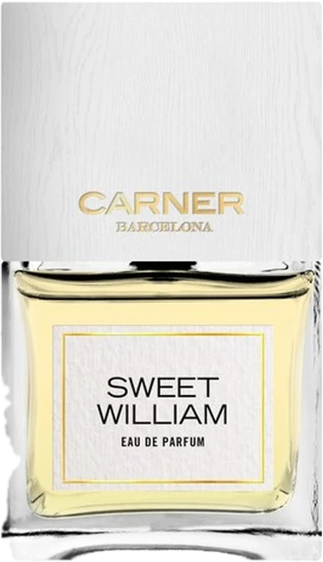 Sweet William