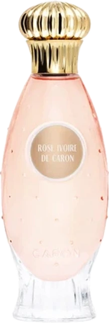 Rose Ivoire