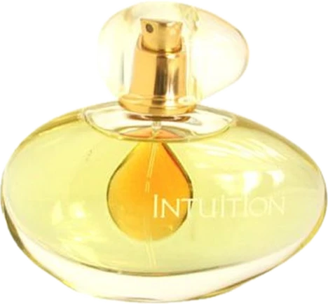 Intuition