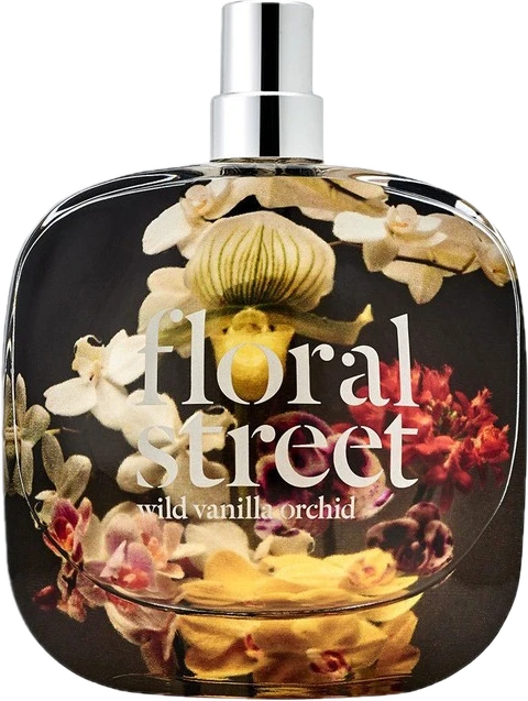 Wild Vanilla Orchid