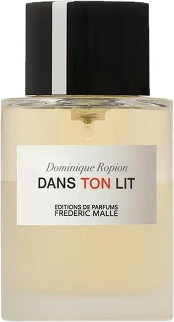 Dans Ton Lit