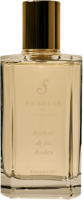 Ambar de los Andes