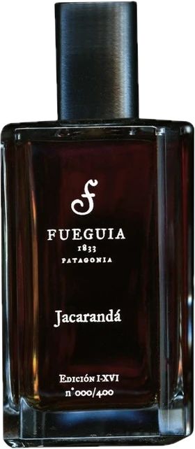 Jacarandá 2016 Edition