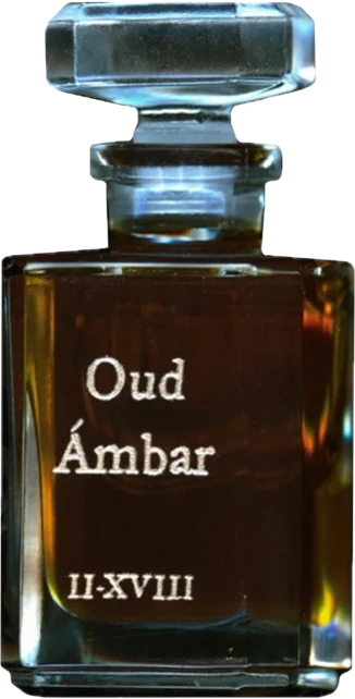 Oud Ambar