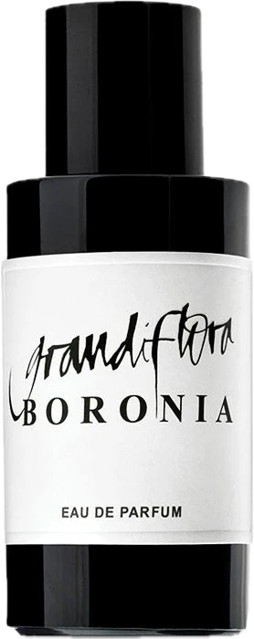 Boronia