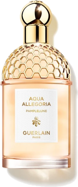 Aqua Allegoria Pamplelune