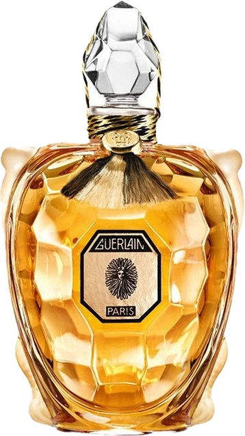 Flacon Tortue