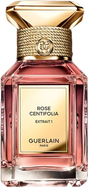 Rose Centifolia Extrait 1