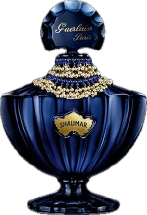 Shalimar Indian Nights