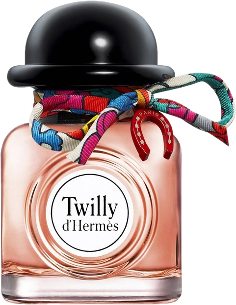 Charming Twilly d'Hermès
