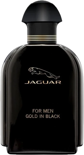 Jaguar For Men Gold in Black