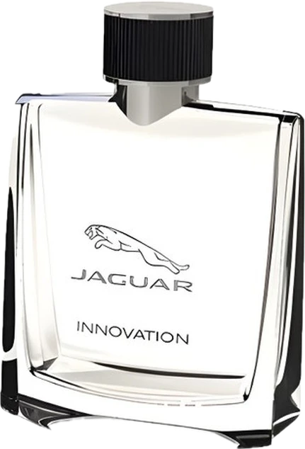 Jaguar Innovation