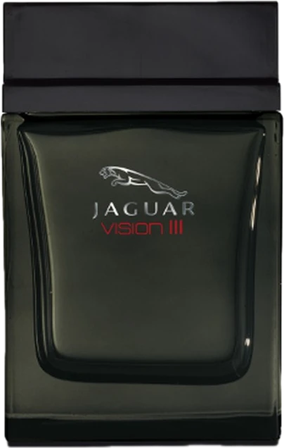 Jaguar Vision III