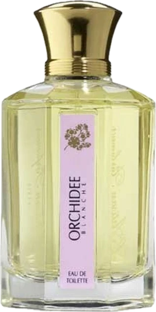 Orchidee Blanche