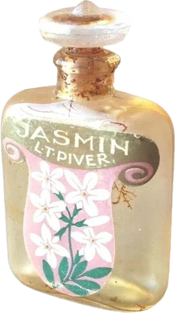 Jasmin