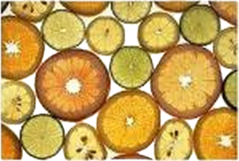 Bambini