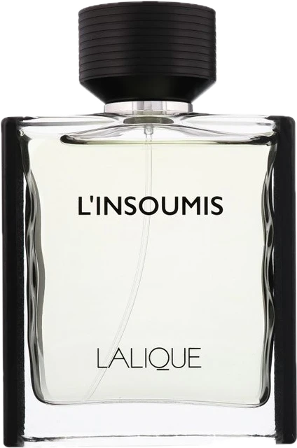 L'Insoumis