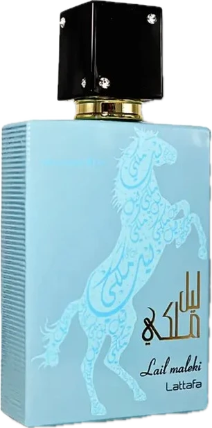 Lail Maleki Moroccan Blue