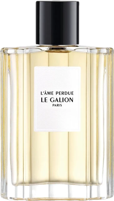 L'âme Perdue