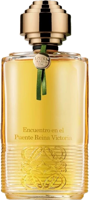 Encuentro en el puente Reina Victoria