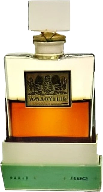 Amaryllis