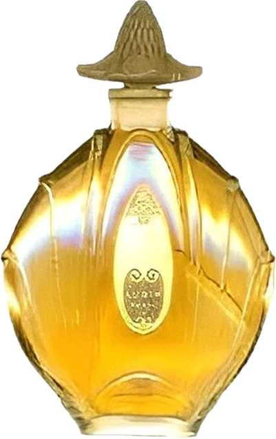 Ambre