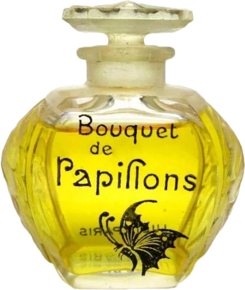 Bouquet de Papillons