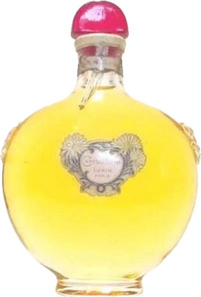 Chrysanthème
