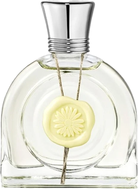 Fleur Lumière