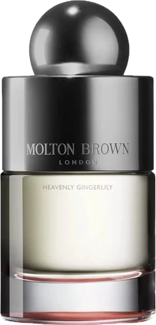 Heavenly Gingerlily