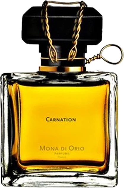 Carnation