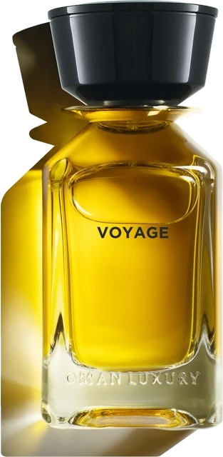 Voyage