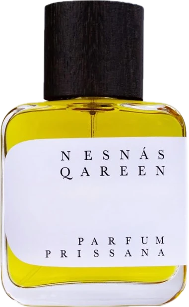 Nesnas Qareen