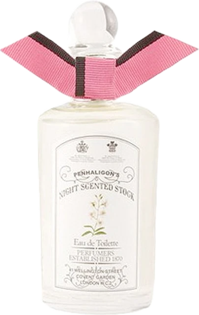 Night Scented Stock