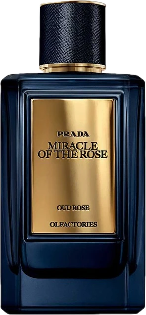 Mirages Miracle of the Rose