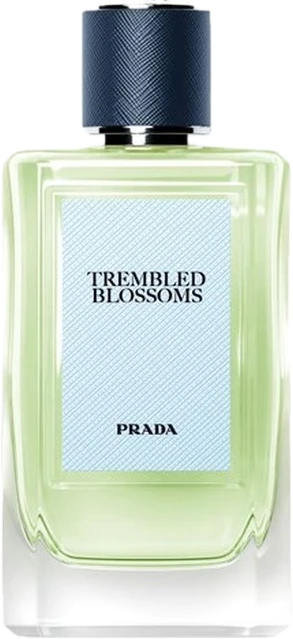 Trembled Blossoms (II)
