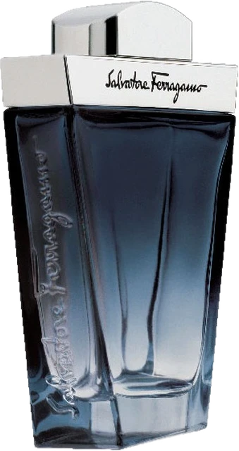 Salvatore Ferragamo Subtil Pour Homme