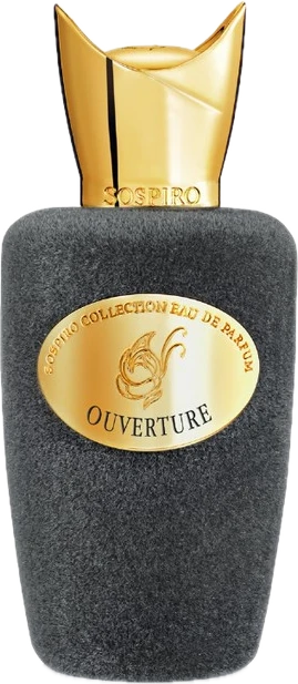 Ouverture