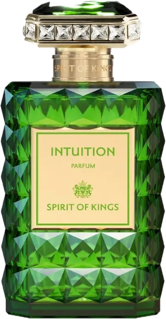 Intuition