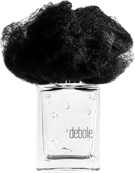 Pioggia Debole