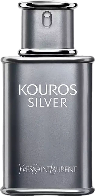 Yves Saint Laurent Kouros Silver