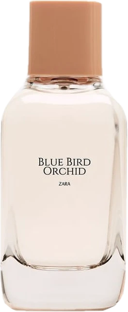 Blue Bird Orchid