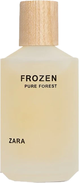 Frozen Pure Forest