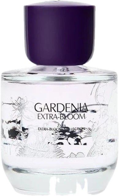 Gardenia Extra-Bloom