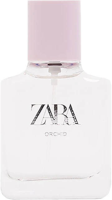Orchid 2019